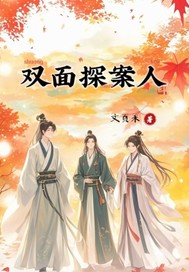 双面探案人